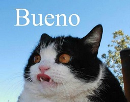 Avatar du membre
